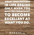Image result for What Does Success Look Like Quote