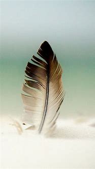 Image result for iPhone 14 Pro Wallpaper Feather