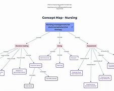 Image result for Nursing Concept Map Book