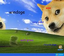 Image result for Windows XP Wallpaper Meme