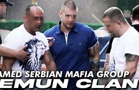 Image result for Serbian Mafia