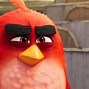 Image result for Red Bird Wallpaper