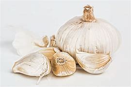 Image result for Garlic Spam