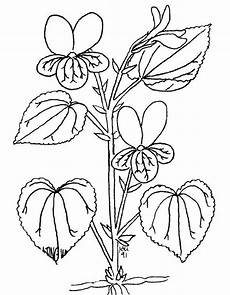 disegno fiori disegni fiori da colorare e stare disegno fiori disegni fiori da colorare e stare