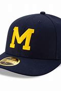 Image result for Big Michigan Hat