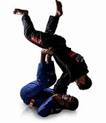 Image result for Muay Thai and Brazilian Jiu Jitsu