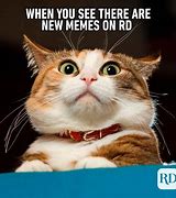 Image result for Memes About Animals