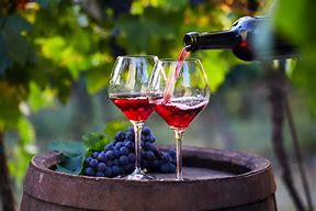 Image result for Red Wine France