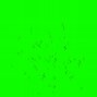 Image result for Greenscreen 1080P