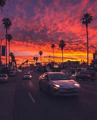 Image result for La Vibes Aesthetic