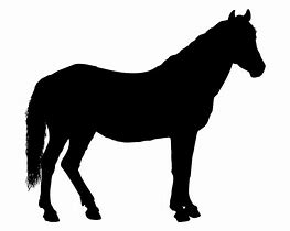 Image result for Horse Outline Printable