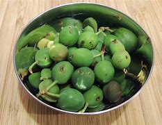 Image result for "plum-curculio"