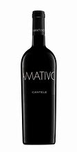 Image result for amativo