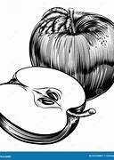 Image result for Black and White Wood Apple