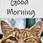 Image result for Morning Black Cat Coffee Meme