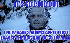 Image result for Funny Cold Animals