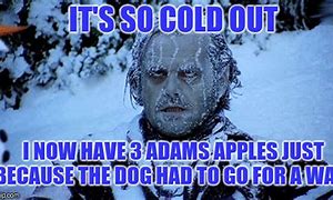 Image result for It's so Cold Meme