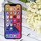 Image result for iPhone XS Max DisplaySize