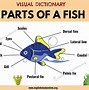 Image result for Normal Facts About Fish