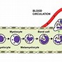 Image result for Immune Cells with Memory of Pathogen