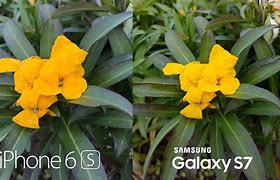 Image result for iPhone 6s Camera Sample Photos