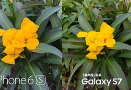 Image result for iphone 6 vs 6s comparison