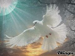 Image result for Blingee Glitter Dove Pretty GIF