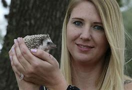 Image result for Head of a Baby Hedgehog