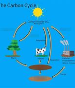 Image result for Carbon Cycle Table