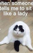 Image result for Cat Suit Meme