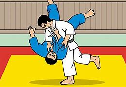 Image result for Japanese Judo