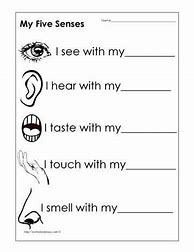Image result for 5 Senses 1st Grade