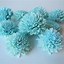 Image result for Turquoise Flowers
