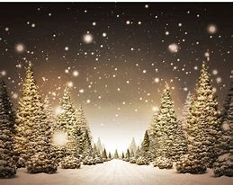 Image result for Outdoor Christmas Tree Scene