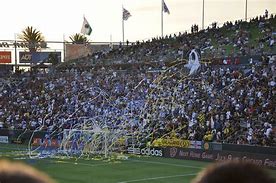 Image result for LA Galaxy Fans Funny