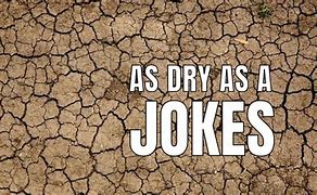Image result for Dry Humor Jokes