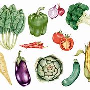 Image result for Spicy Food Allergy Icon