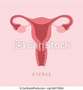 Image result for Ovary ClipArt