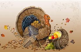Image result for Funny Turkey Wallpaper
