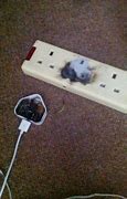 Image result for Pic of Burnt Charger and Socket
