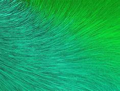 Image result for Cyan Green Background