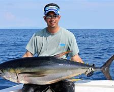 Yellowfin Tuna 的圖像結果