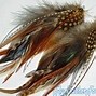 Image result for Boho Feather Necklace