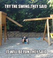 Image result for Bear Swings Bat Meme