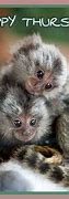 Image result for Happy Thursday Baby Animals