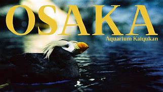 Image result for Osaka Aquarium