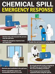 Image result for Home Chemical Safety Poster