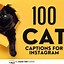 Image result for Sarcastic Cat Quotes