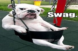 Image result for Top Dawg Funny