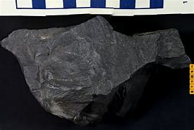Image result for basalt9